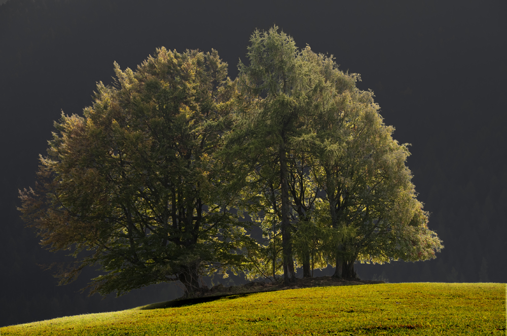 Herbstlicht