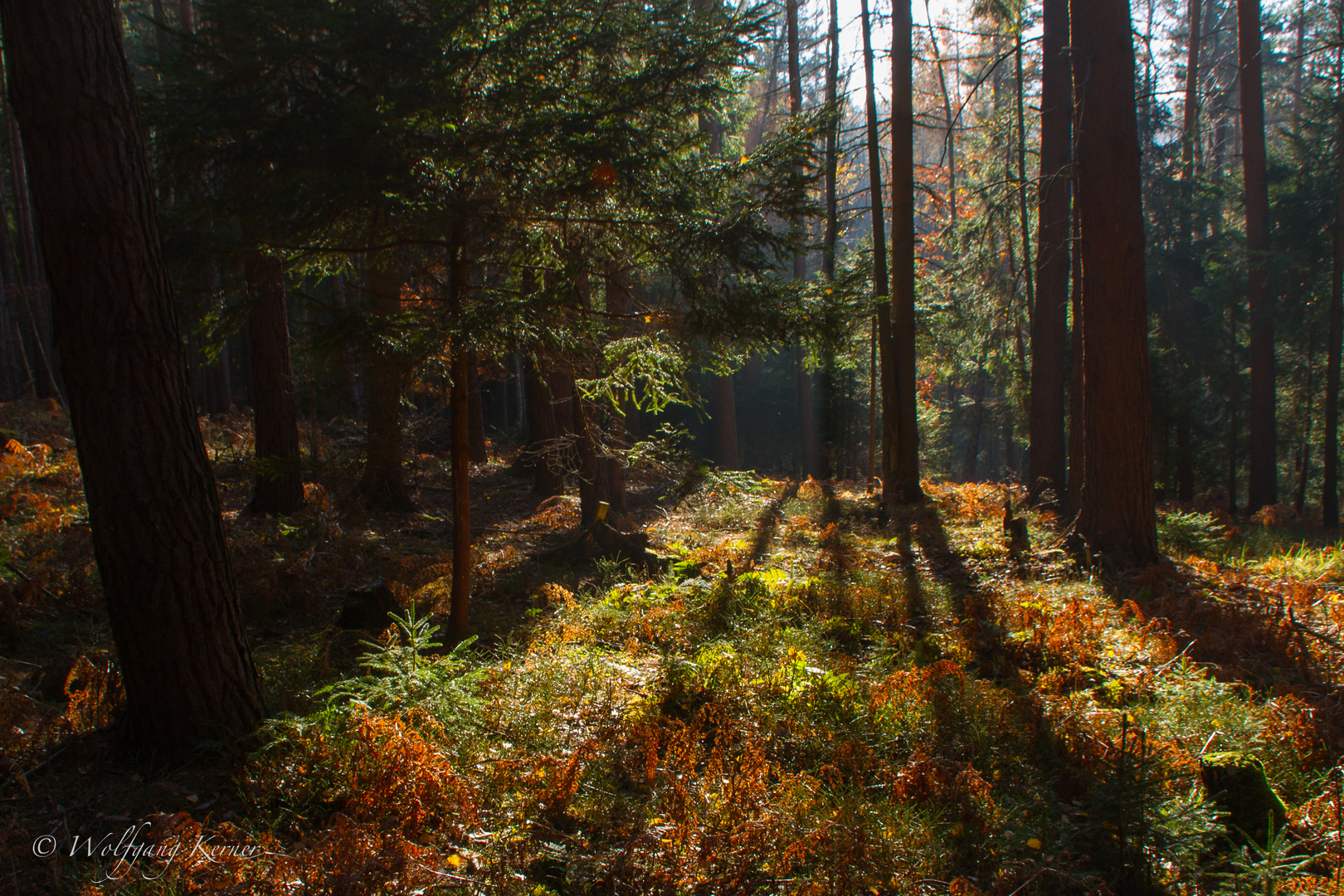 Herbstlicht