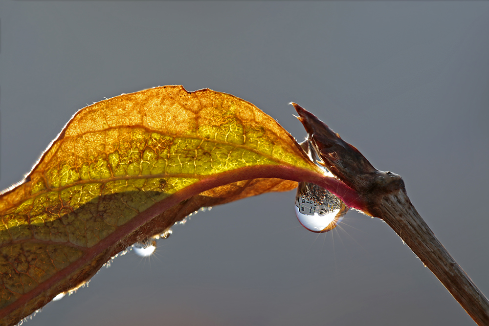 Herbstlich(t)