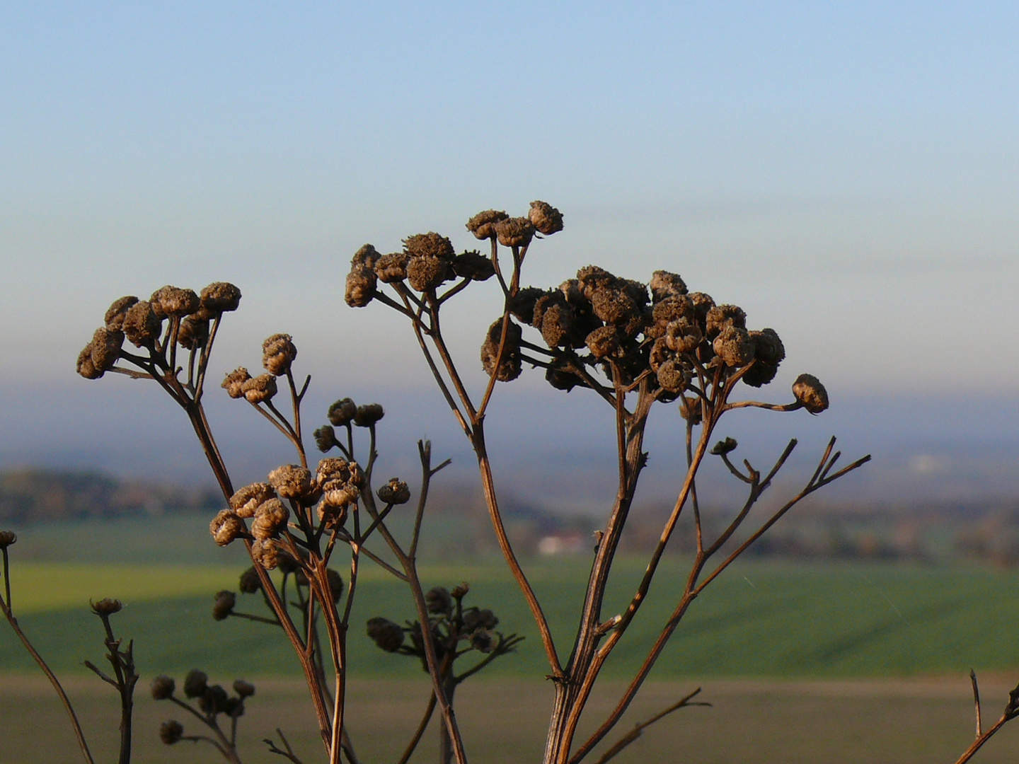 Herbstlicht