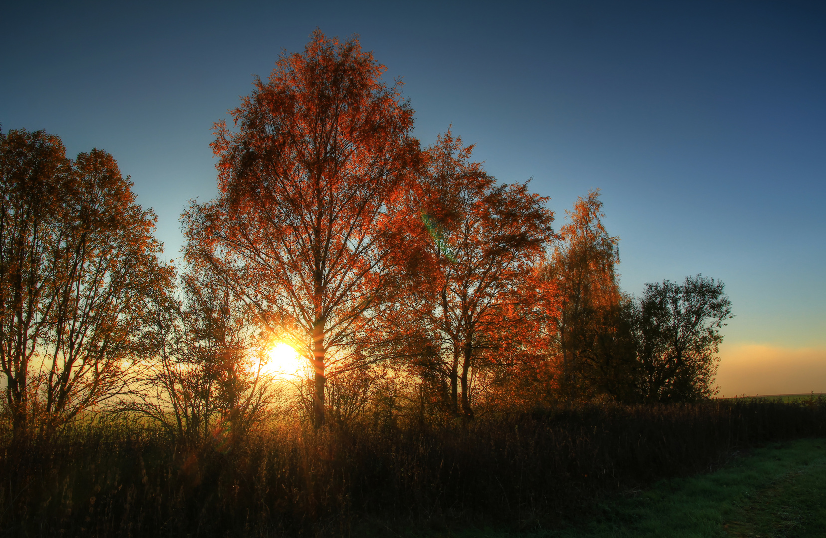 Herbstlicht