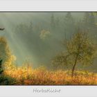 Herbstlicht