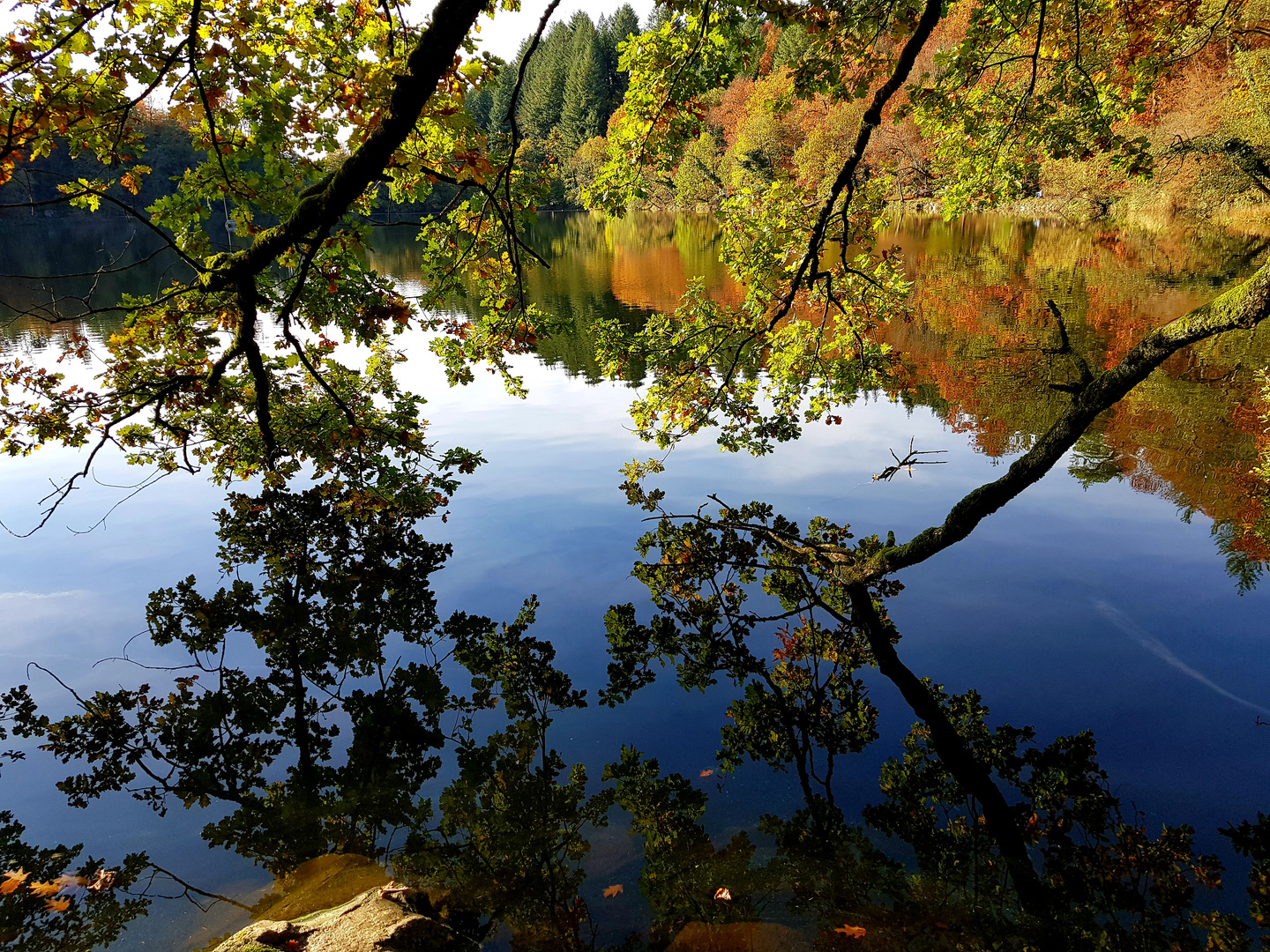 Herbstlicht