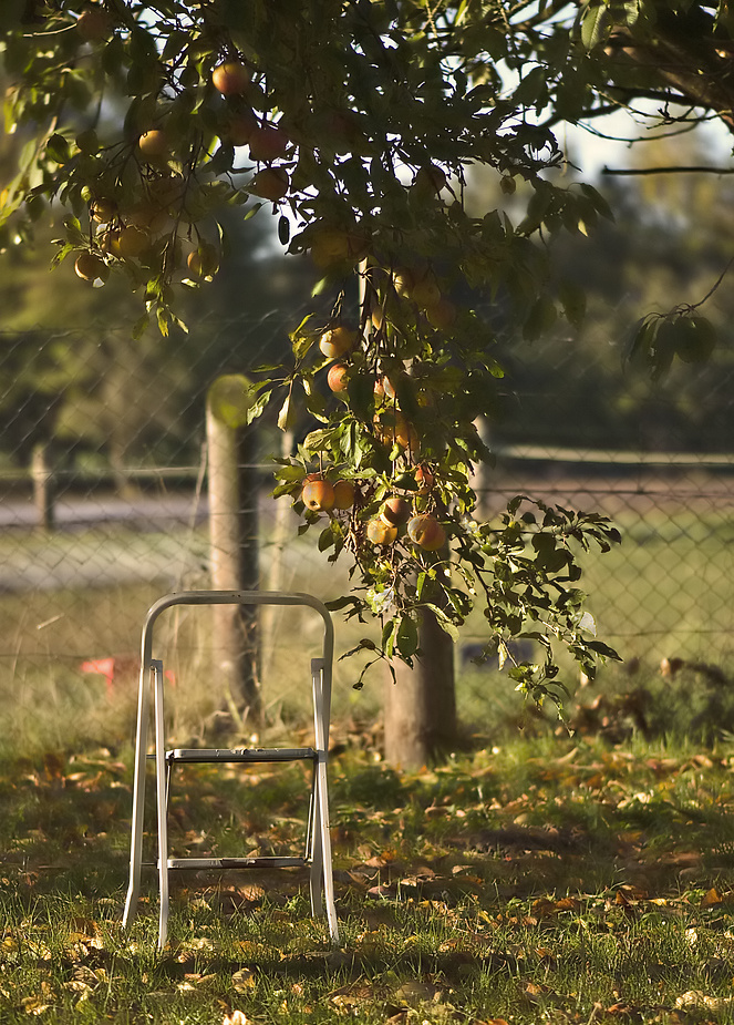 Herbstlich(t)