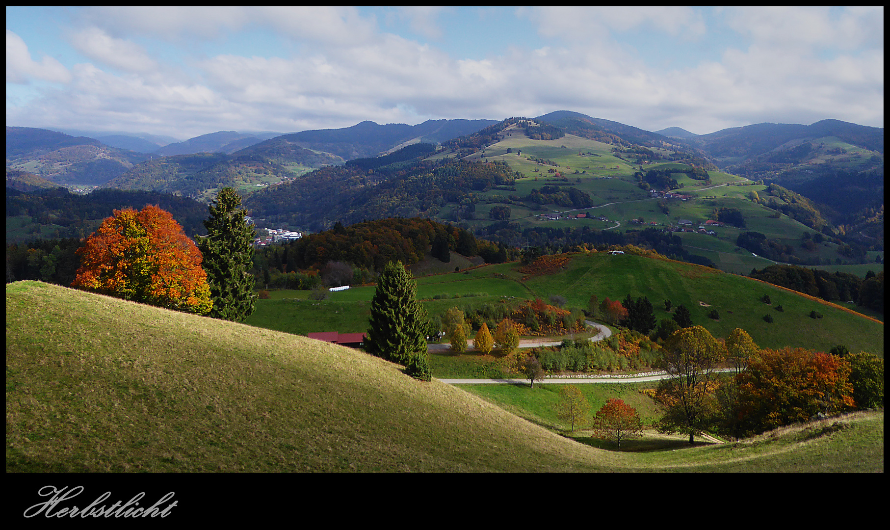 Herbstlicht