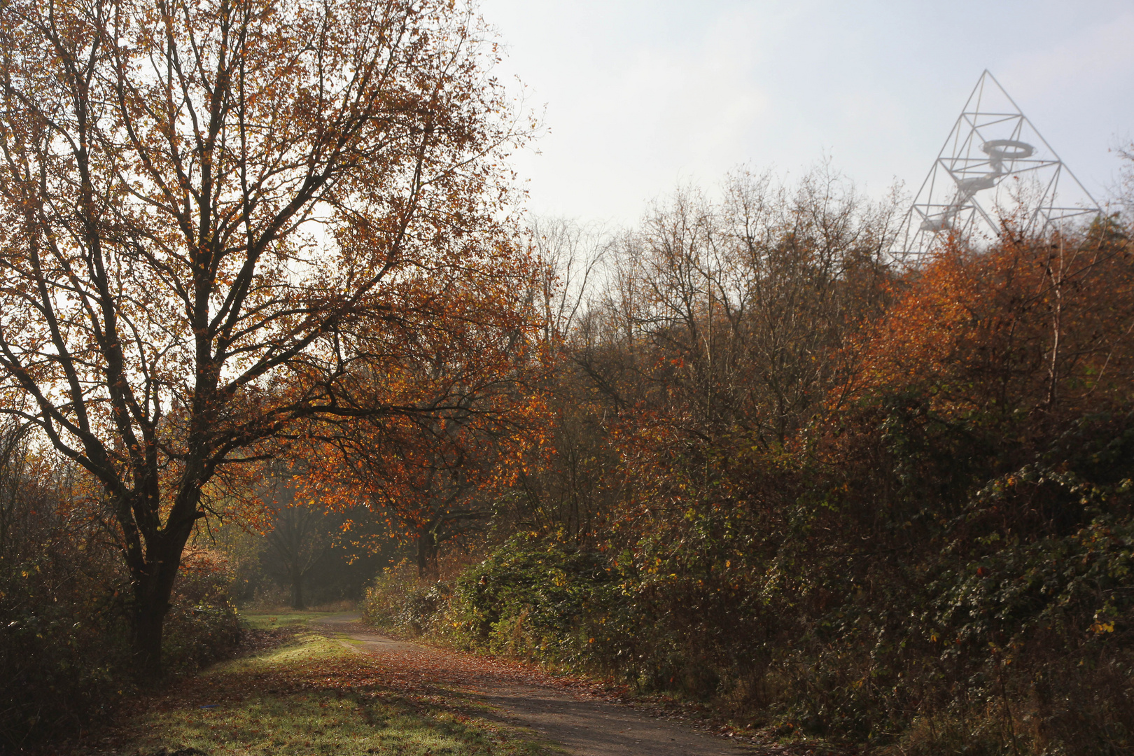 Herbstlich(t)