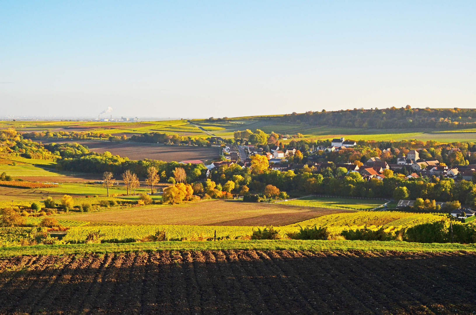 Herbstlicht