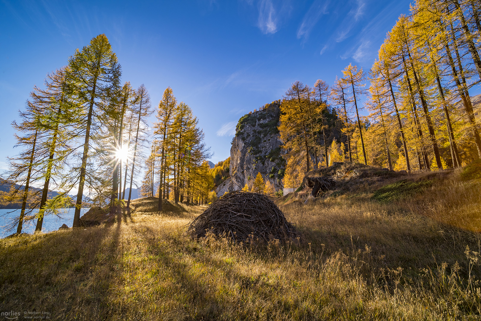 Herbstlicht