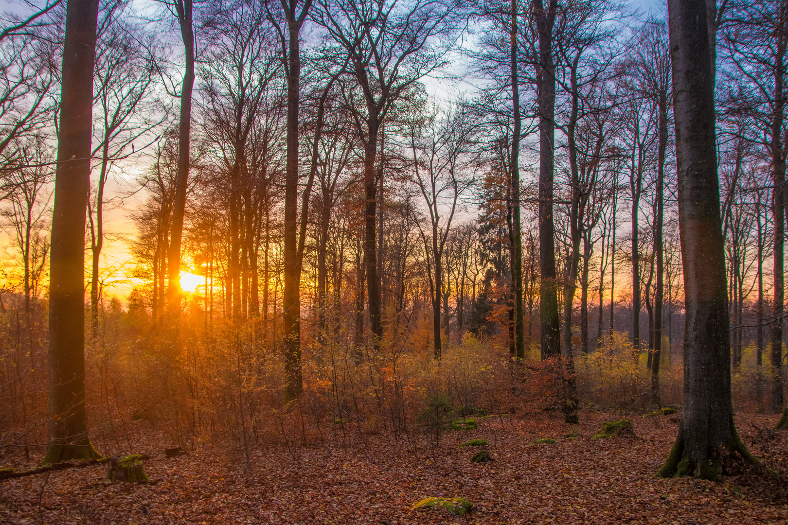 Herbstlicht