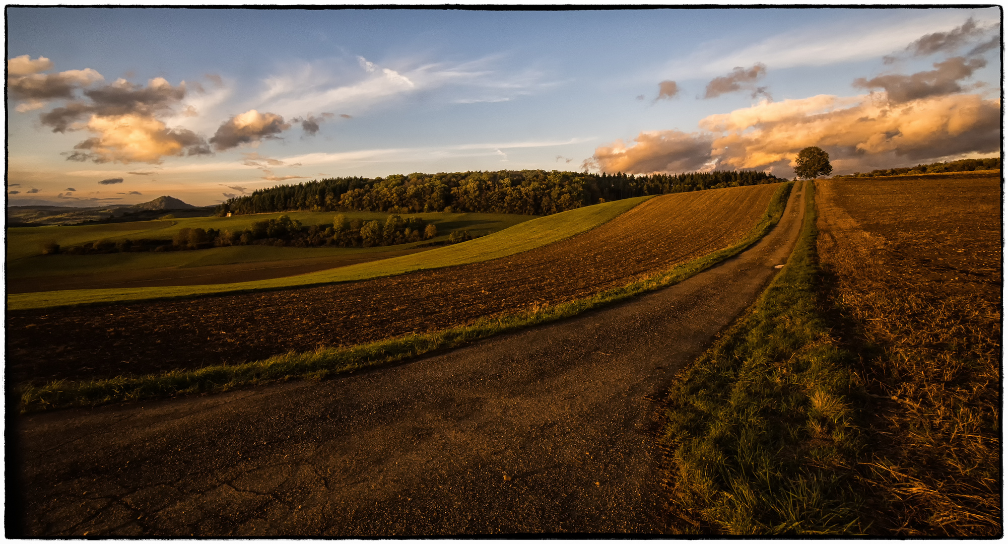 Herbstlicht