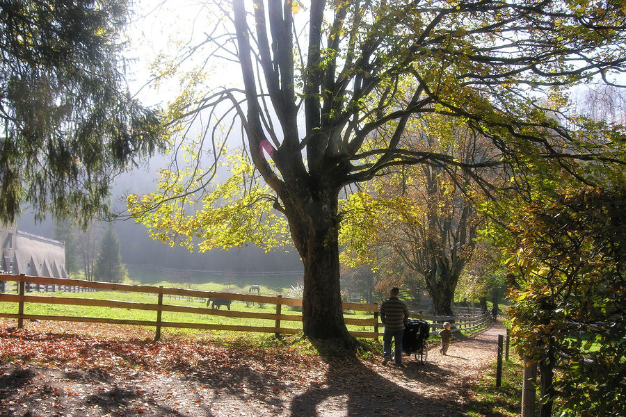 HERBSTLICH(T)