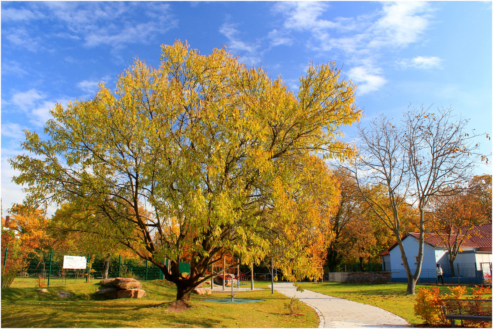 Herbstlicht