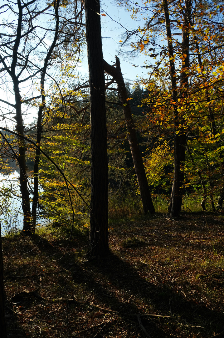 Herbstlicht