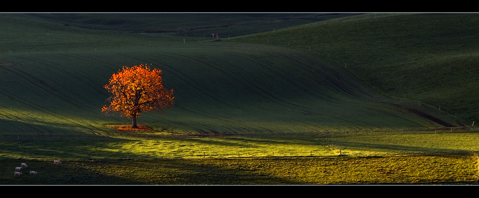 Herbstlicht