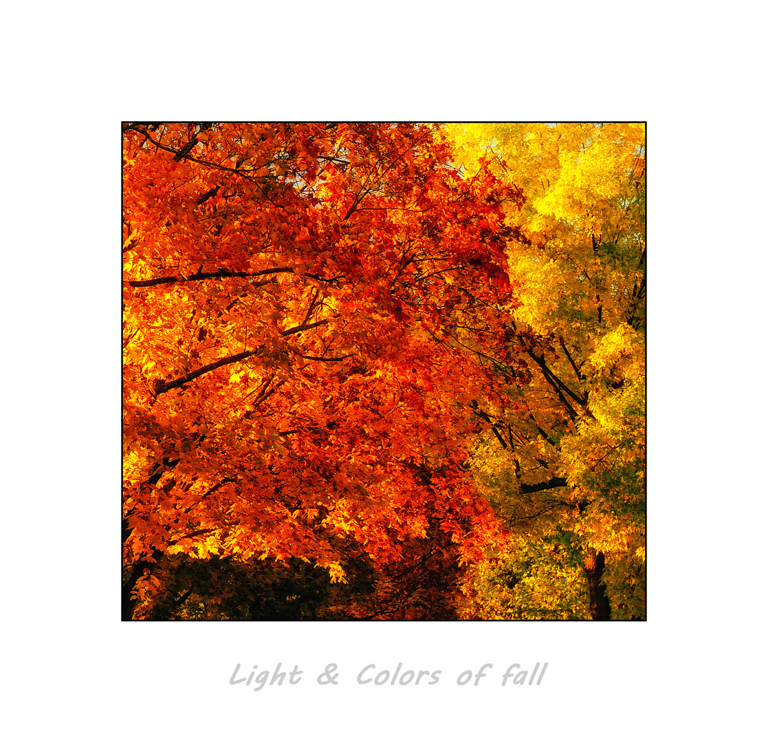 Herbstlicht & -farben