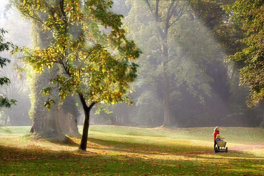 Herbstlicht