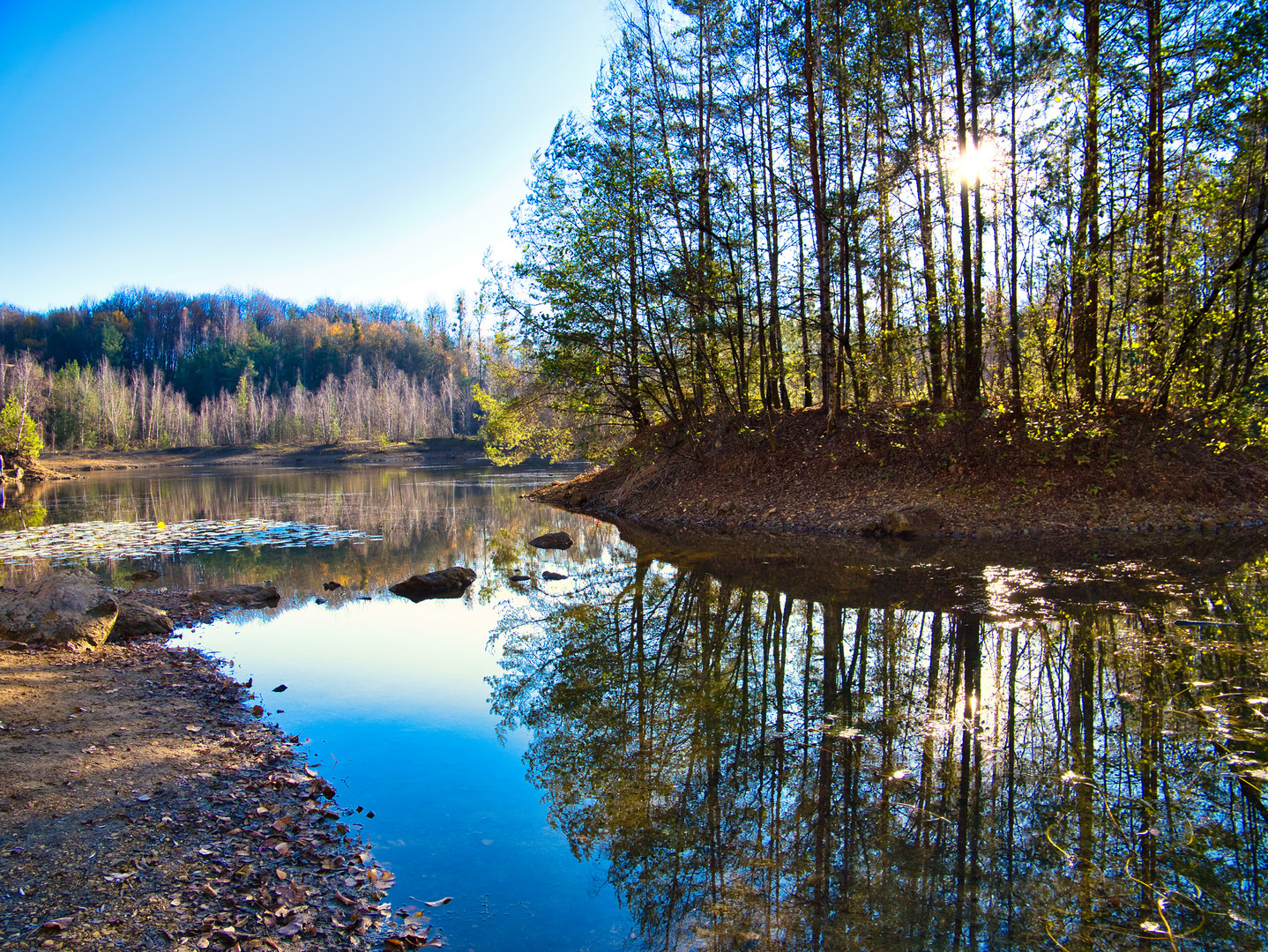 Herbstlicht