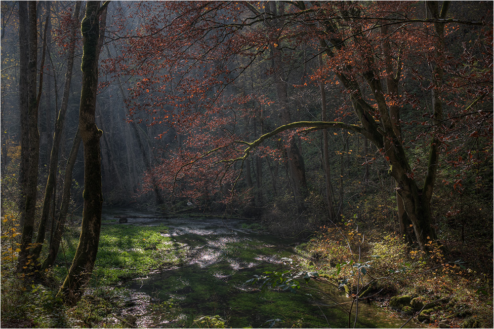 Herbstlicht