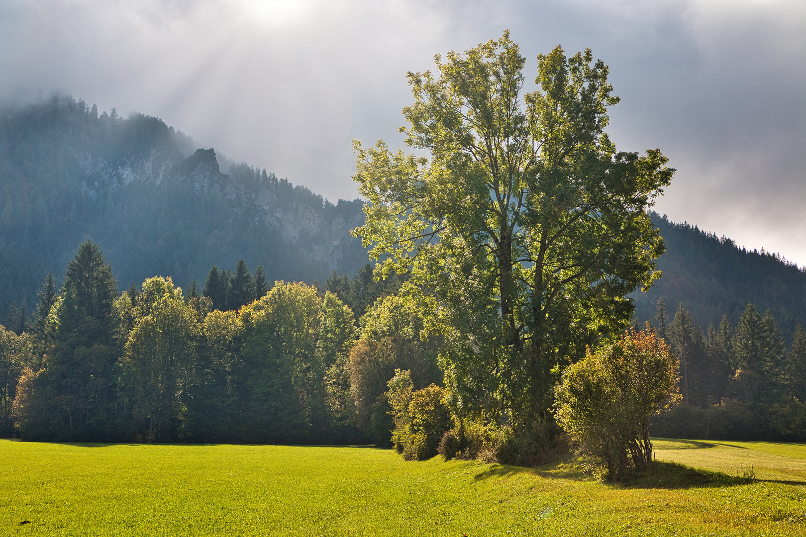 Herbstlicht