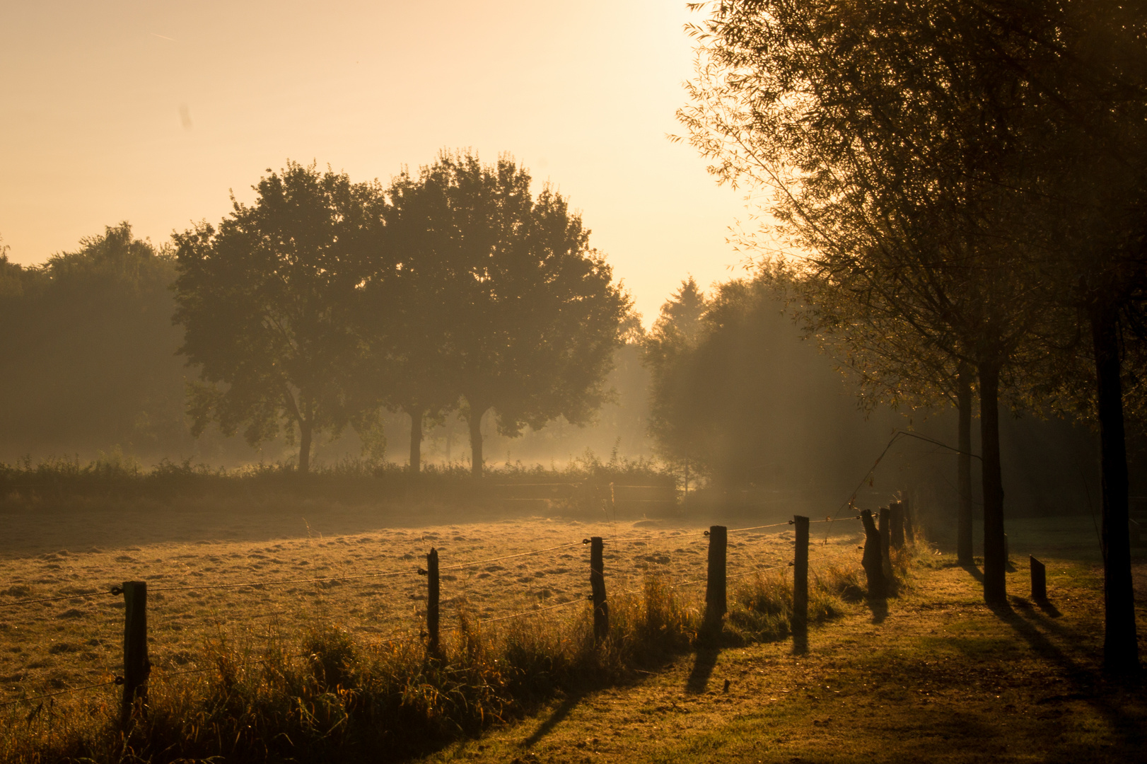 Herbstlicht