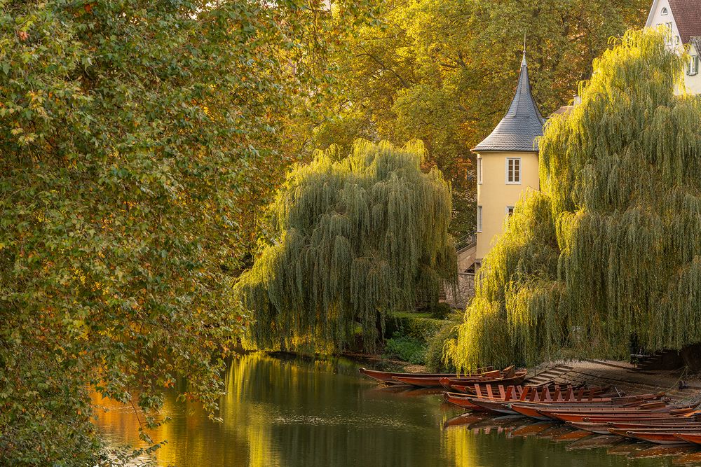 Herbstlicht für den Hölderlin