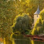 Herbstlicht für den Hölderlin