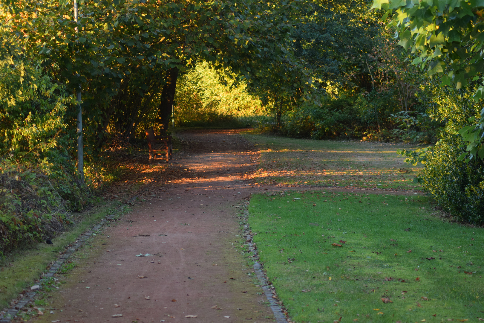 Herbstlicht I