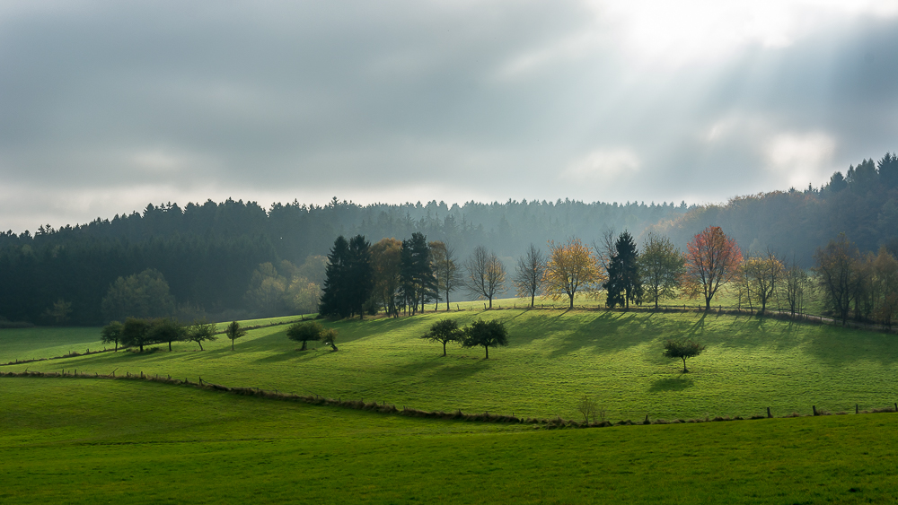 Herbstlich(t) II