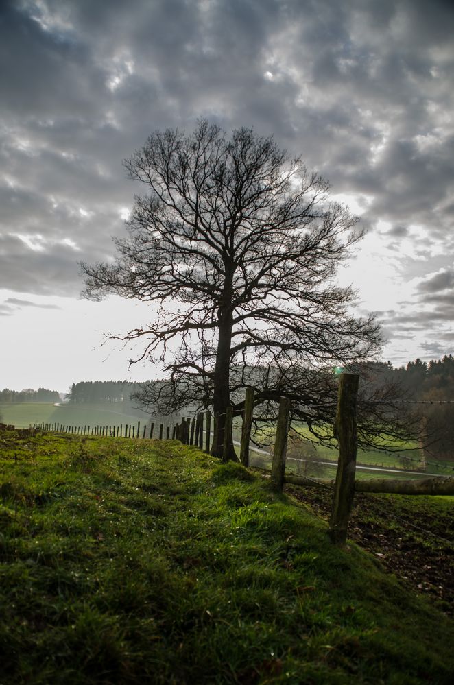 Herbstlicht im Bergischen Land