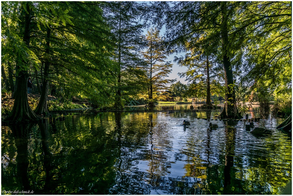 Herbstlicht im Botanischen Garten Hamburg Foto & Bild ...