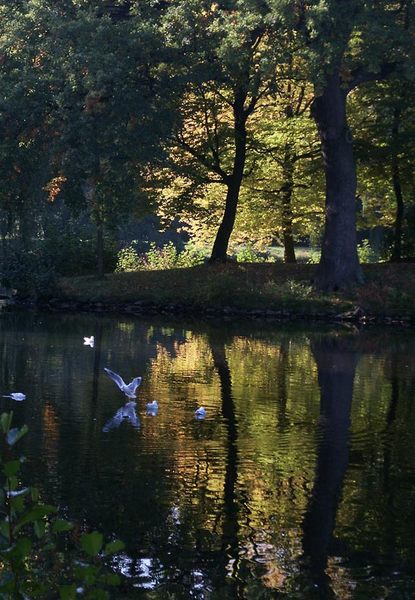 Herbstlicht im Georgengarten