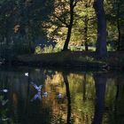 Herbstlicht im Georgengarten