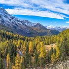 Herbstlicht im Hochtal