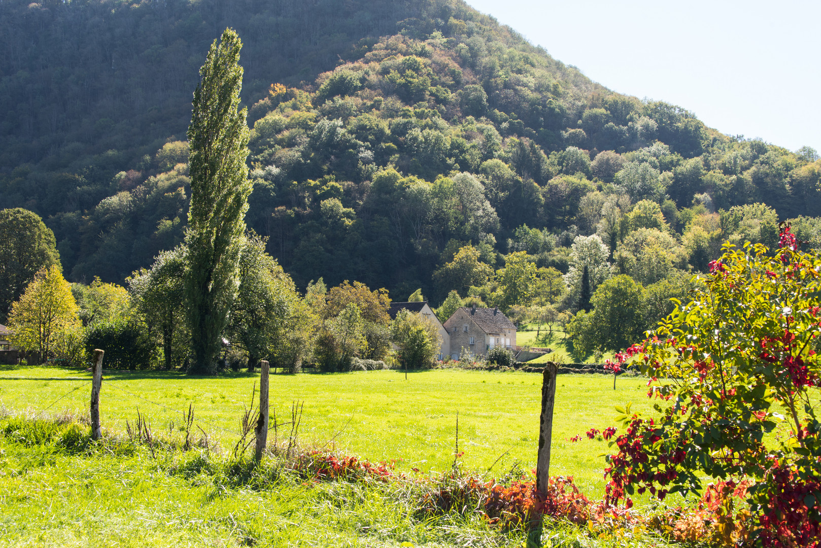 Herbstlicht im Jura