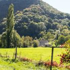 Herbstlicht im Jura