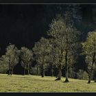 Herbstlicht im Karwendel