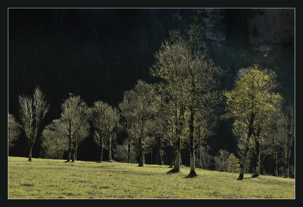 Herbstlicht im Karwendel