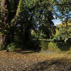 Herbstlicht im Park