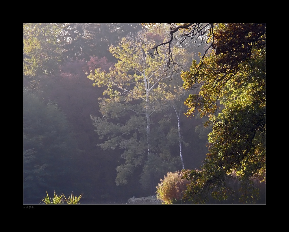 Herbstlicht im Park