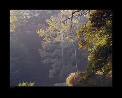 Herbstlicht im Park