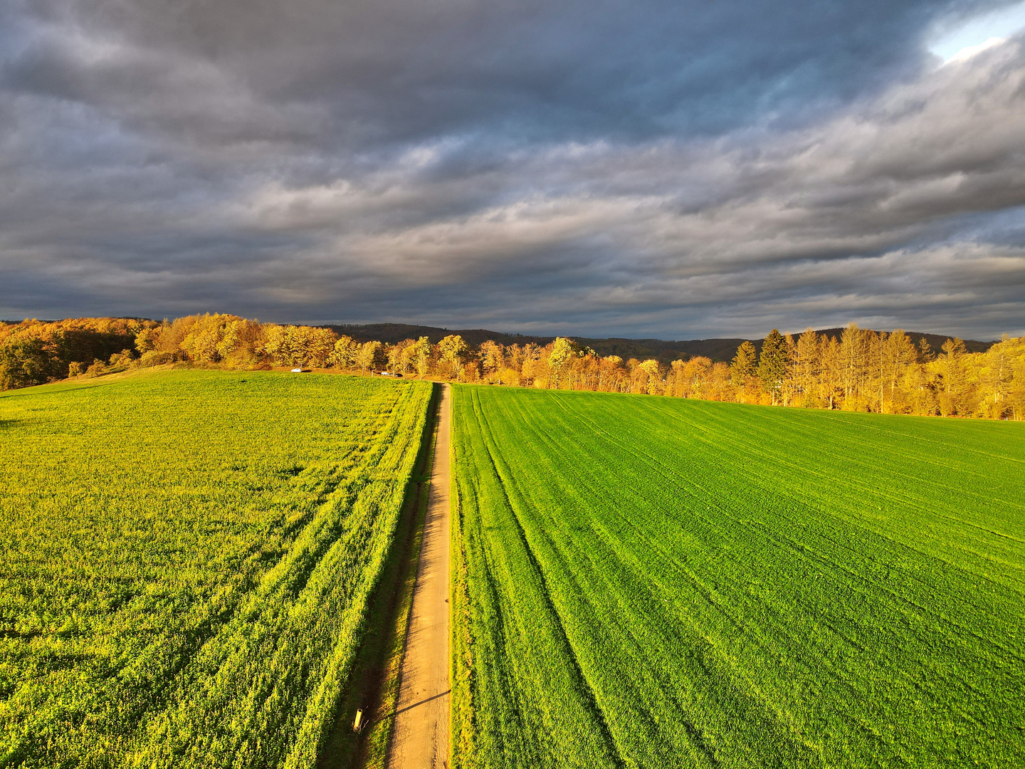 Herbstlicht im Siegtal