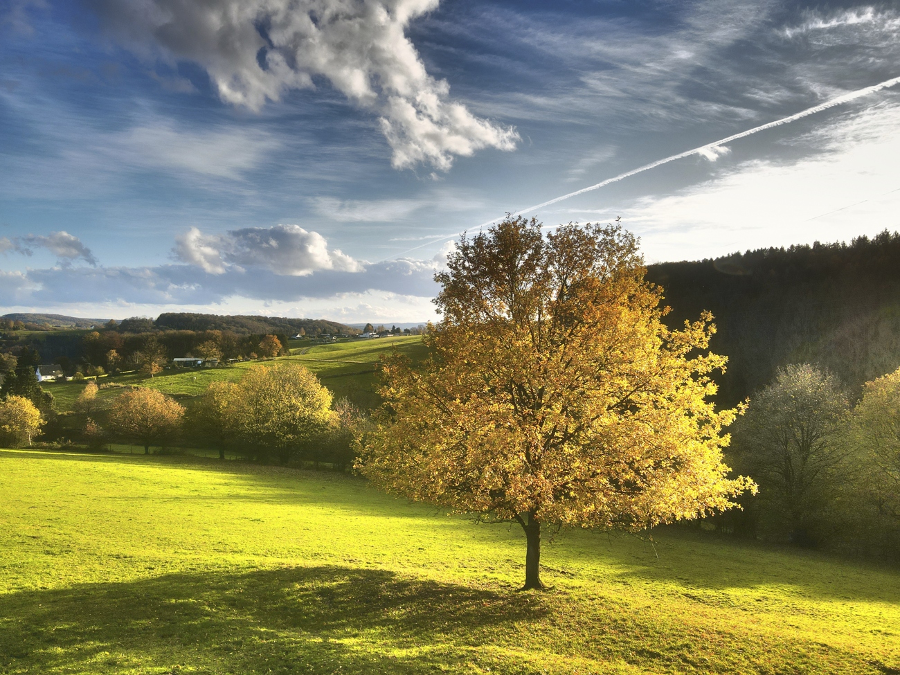 Herbstlicht im Siegtal