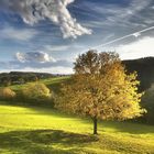 Herbstlicht im Siegtal