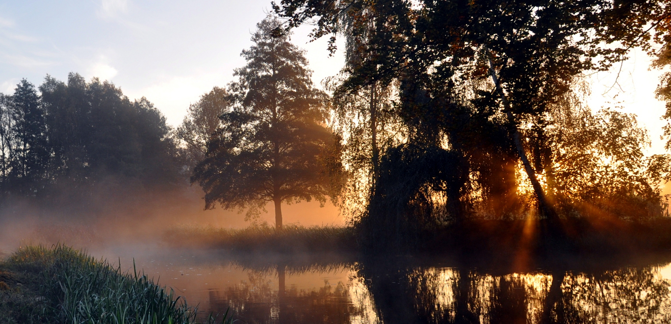 .Herbstlicht im Spreewald.