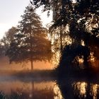 .Herbstlicht im Spreewald.