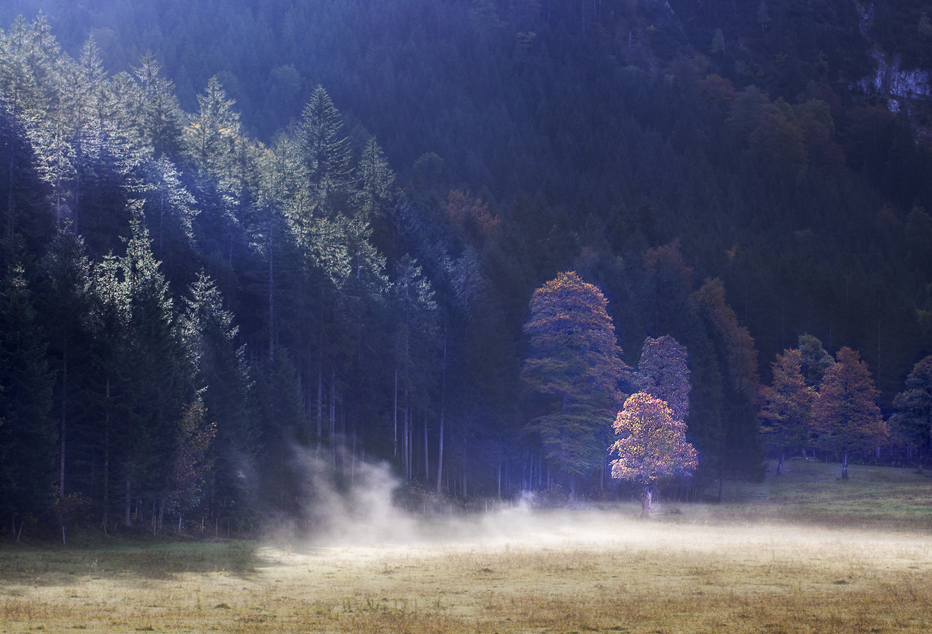 Herbstlicht in der Eng/Österreich