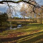 Herbstlicht in der Nordheide