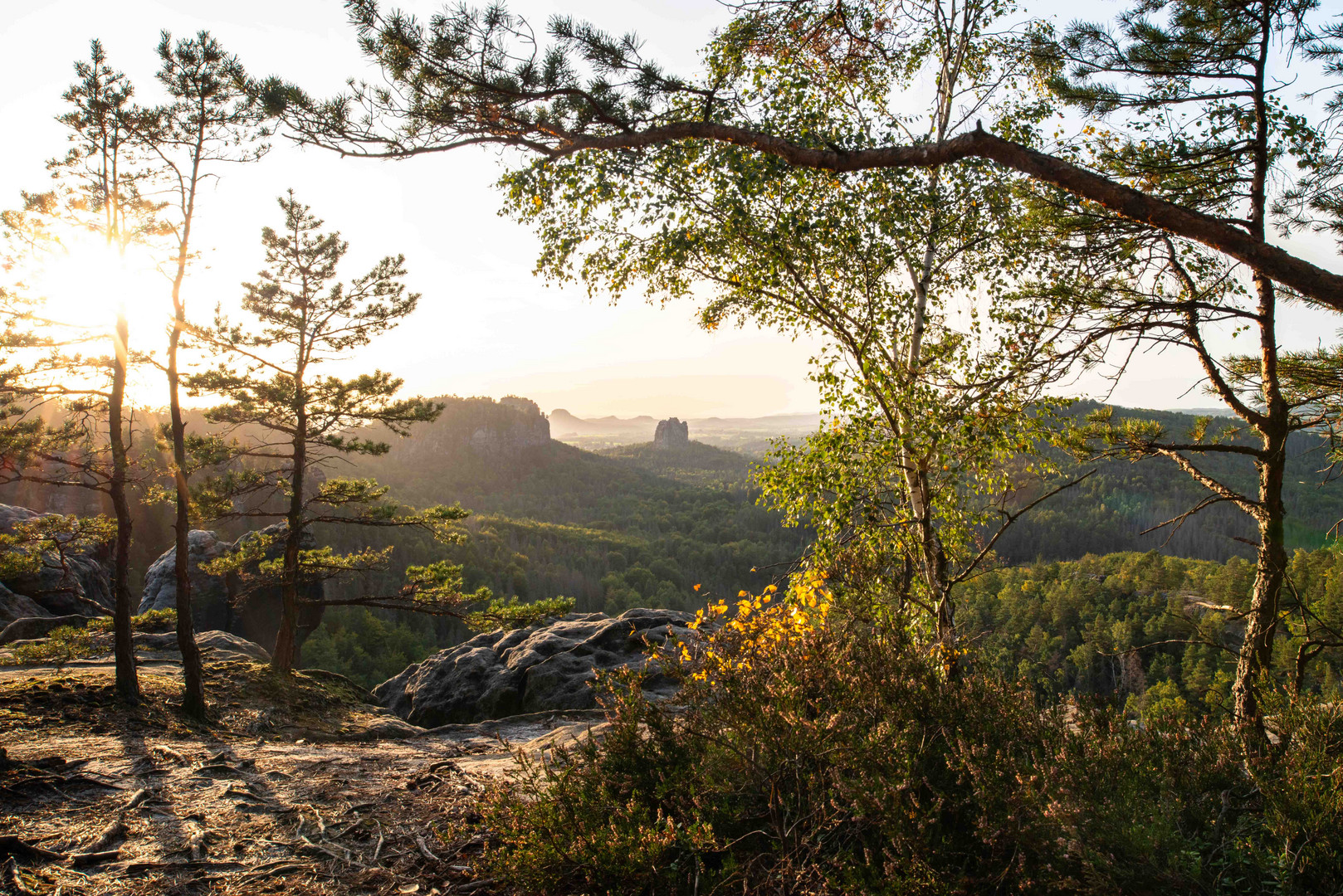 Herbstlicht in der Sächsischen Schweiz