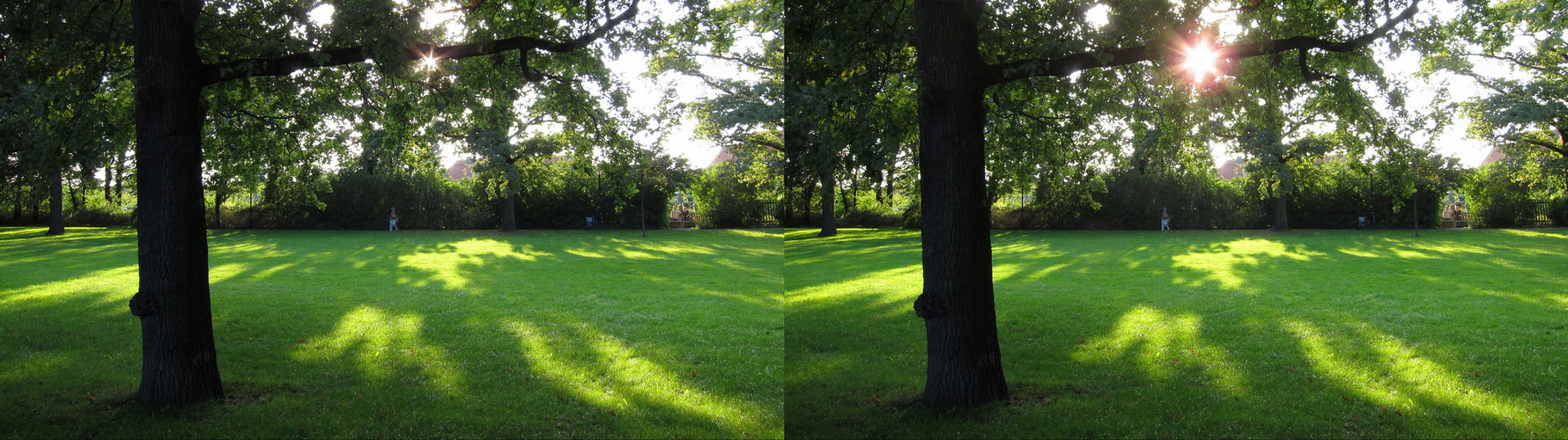 Herbstlicht (Kreuzblick-Stereo u. für 3D-TV)