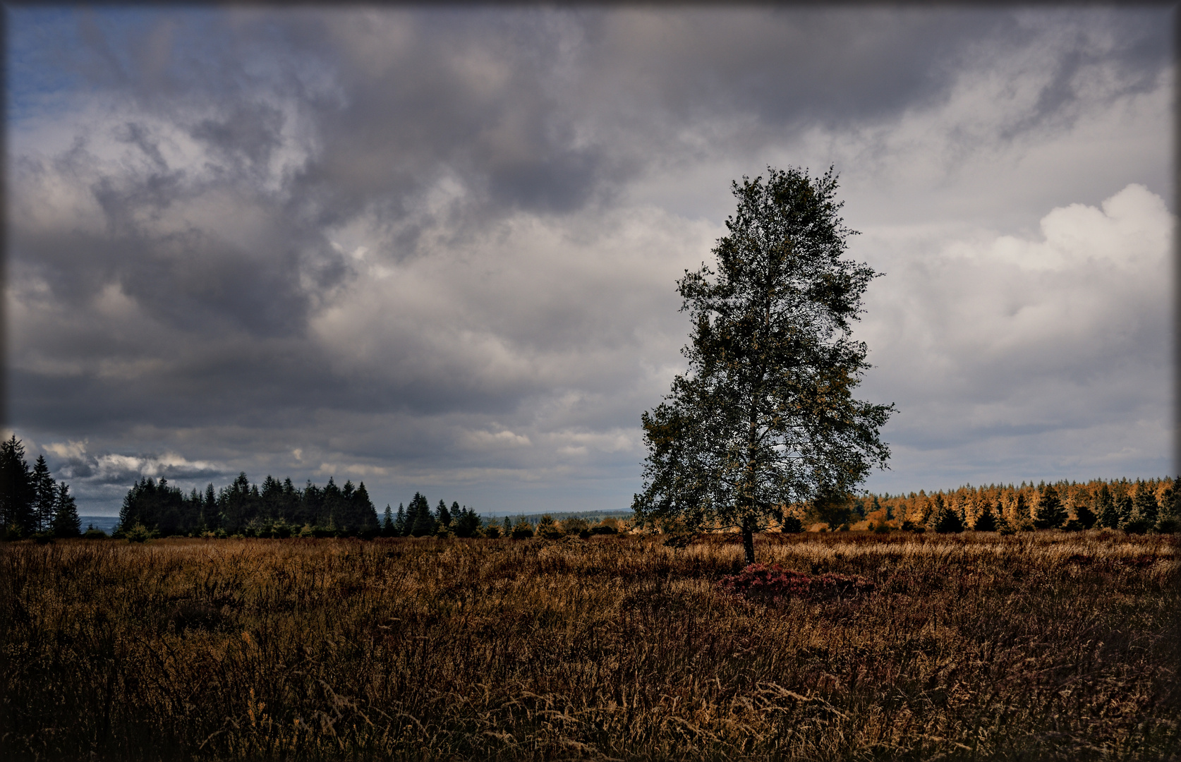 Herbstlicht - Lumière automnale